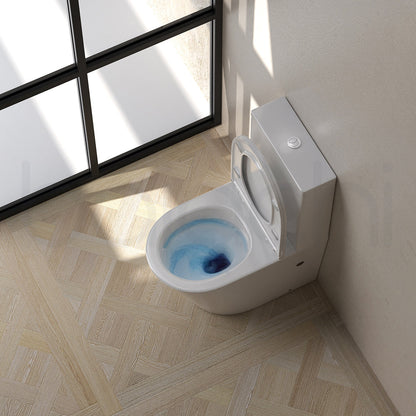 Baiachi Involution Tornado Toilet Suite
