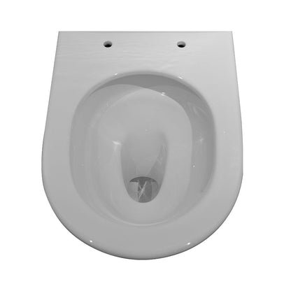 Baiachi Vortex Rimless Tornado Toilet Suite BTW1
