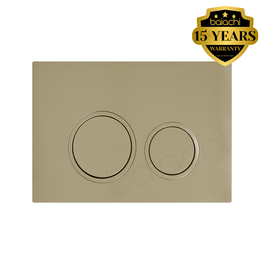 Round In-Wall Toilet Dual Flushing Buttons Brushed Gold